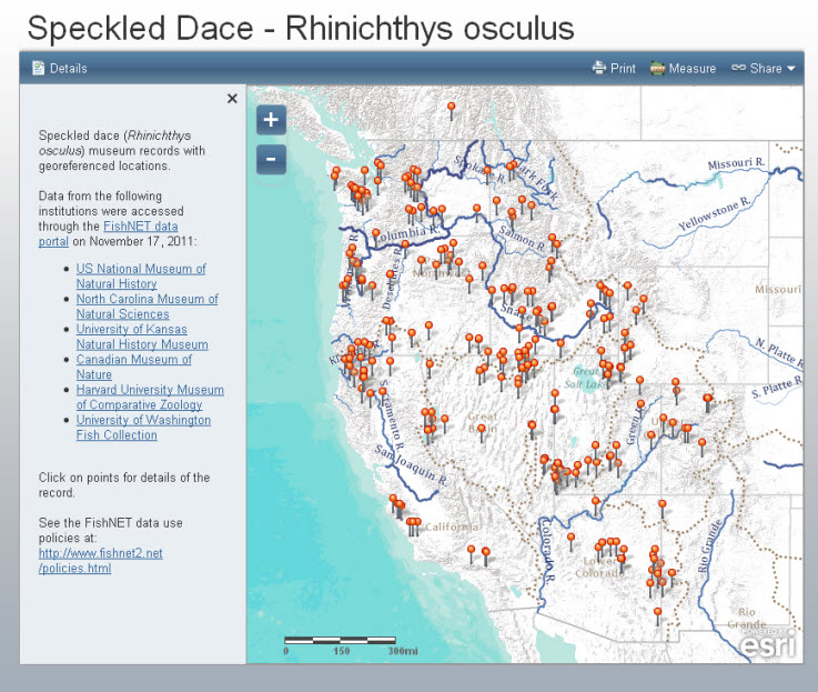 Speckled Dace Web Mapping Application