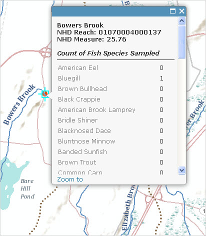 Bowers Brook Fish Sampling Site