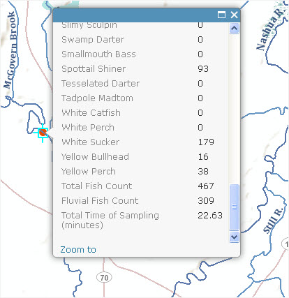 Nashua River - North Branch Fish Sampling Site