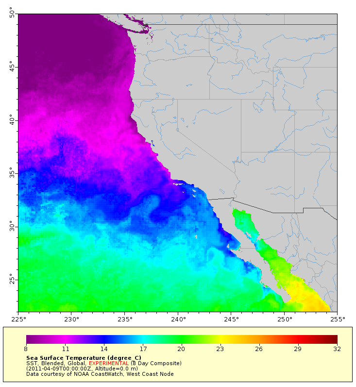 Experimental 8 day composite from ERDDAP Sea Surface Temperature