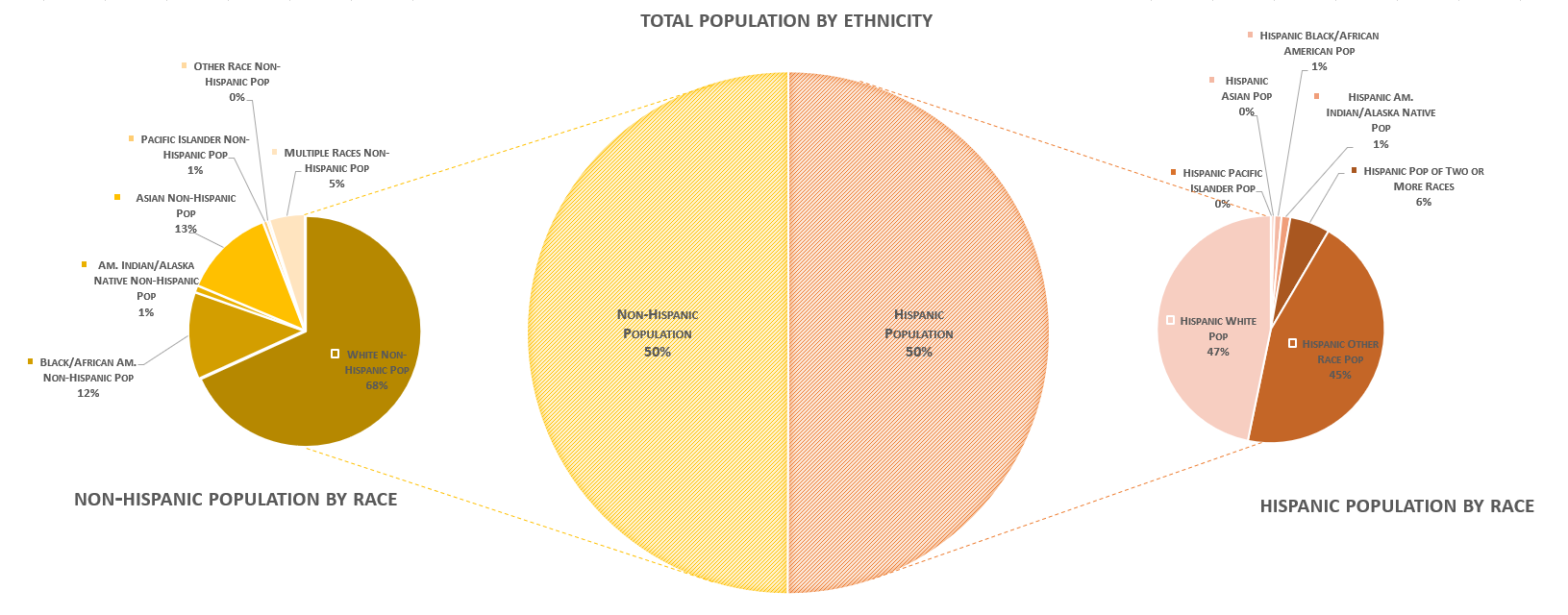 America Race Demographics Pie Chart
